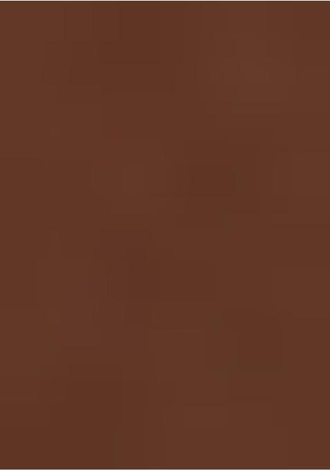 Brown Embroidered Blouse Georgette Pre Draped Saree Set