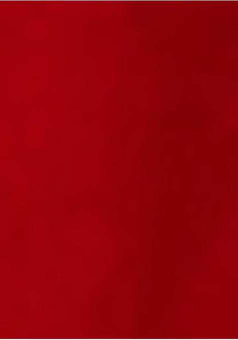 Red Embroidered Blouse Georgette Pre Draped Saree Set