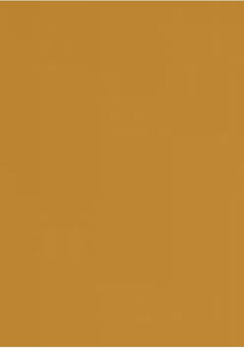 Mustard Yellow Georgette Printed Blouse Pre Draped Saree Set