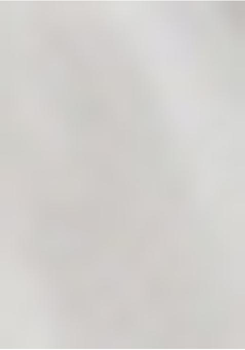 White Satin Printed Pre Draped Saree Set