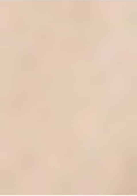 Light Brown Satin Printed Pre Draped Saree Set