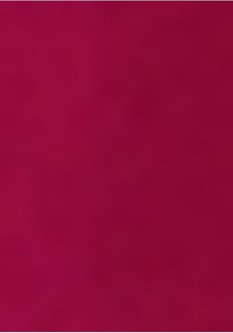 Maroon Sequin Embroidered Blouse Georgette Pre Draped Saree Set