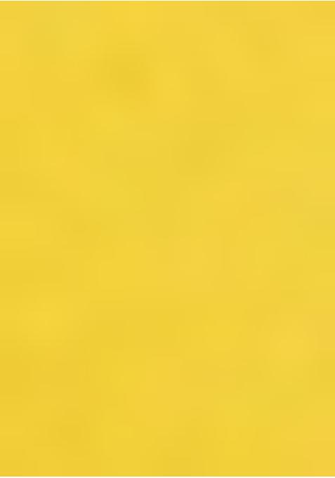 Yellow Sequin Embroidered Blouse Georgette Pre Draped Saree Set