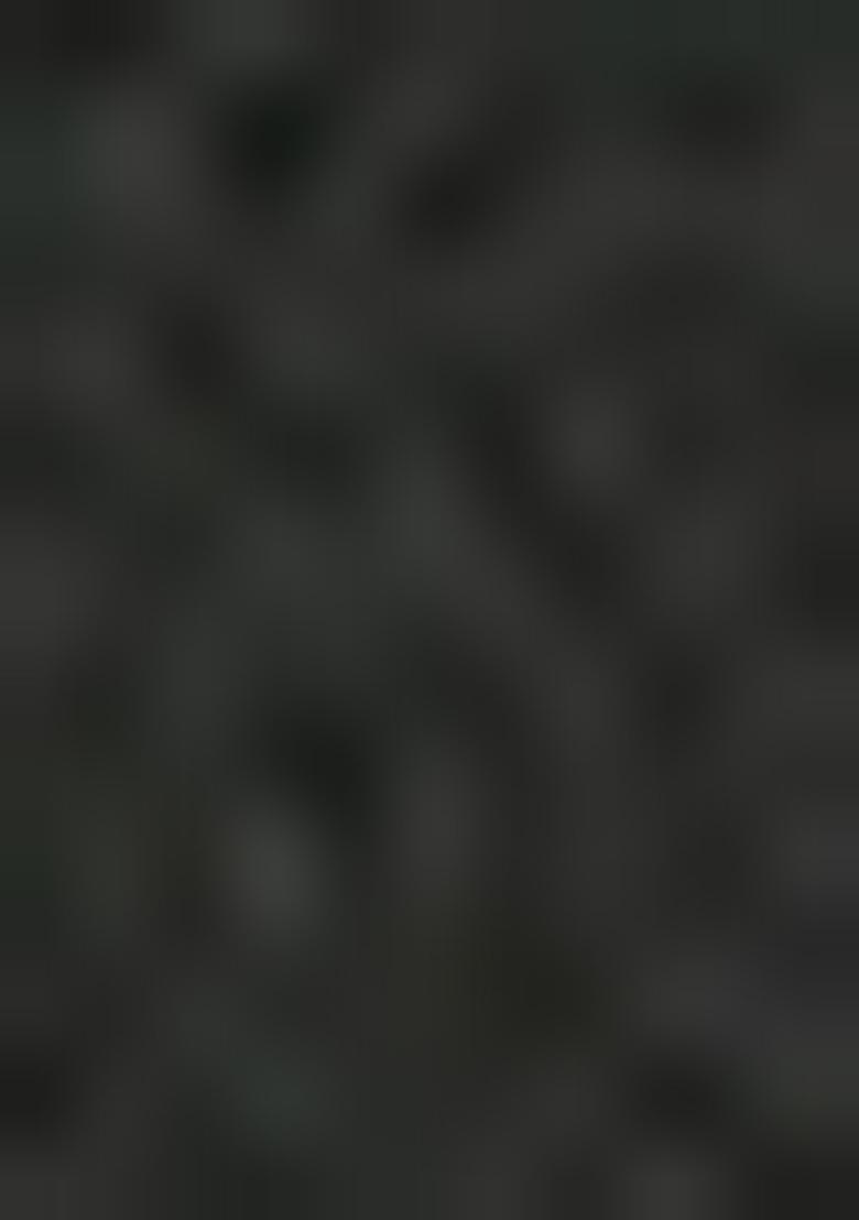 Black Embroidered Blouse Georgette Pre Draped Saree Set