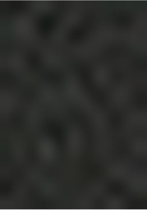 Black Embroidered Blouse Georgette Pre Draped Saree Set