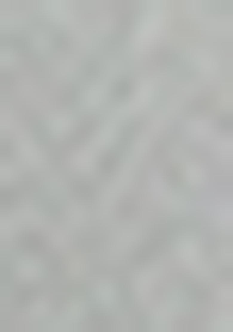 Grey Embellished Muslin Pre Draped Saree Set - Indya