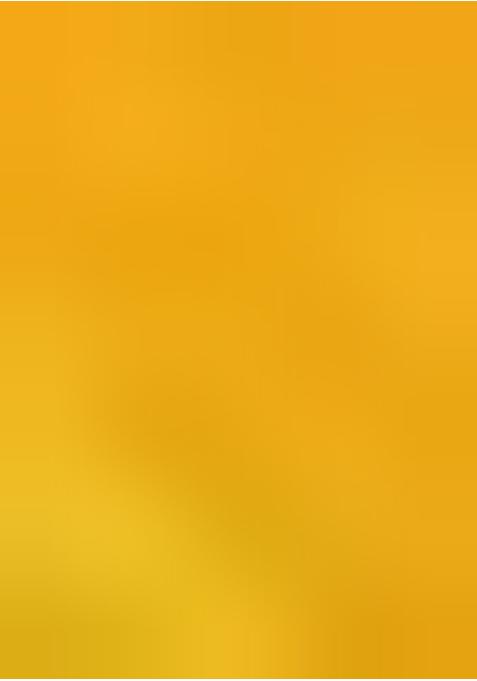 Yellow Sequin Embroidered Chinon Pre Draped Saree Set