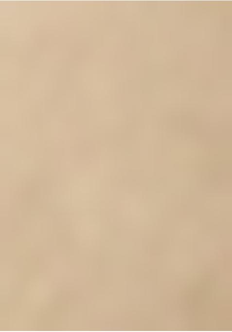 Beige Embroidered Organza Pre Draped Saree Set