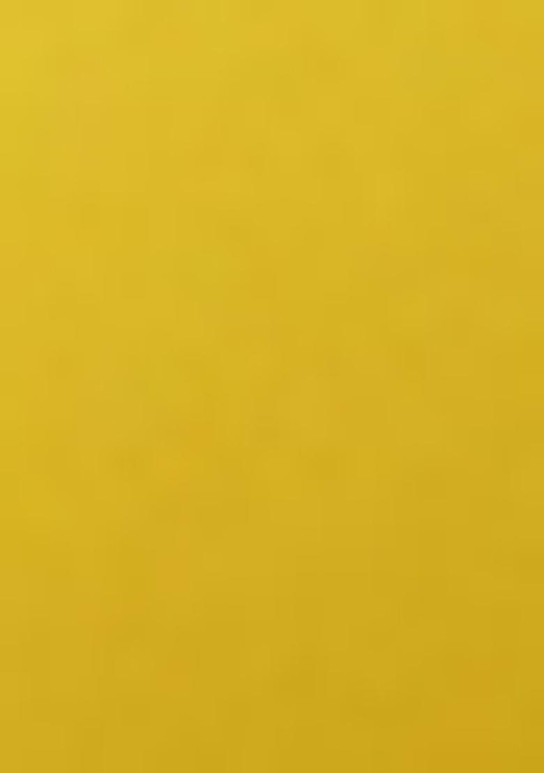 Yellow Printed Organza Pre Draped Saree Set