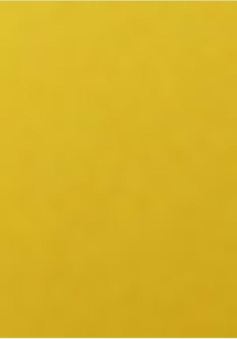 Yellow Printed Organza Pre Draped Saree Set