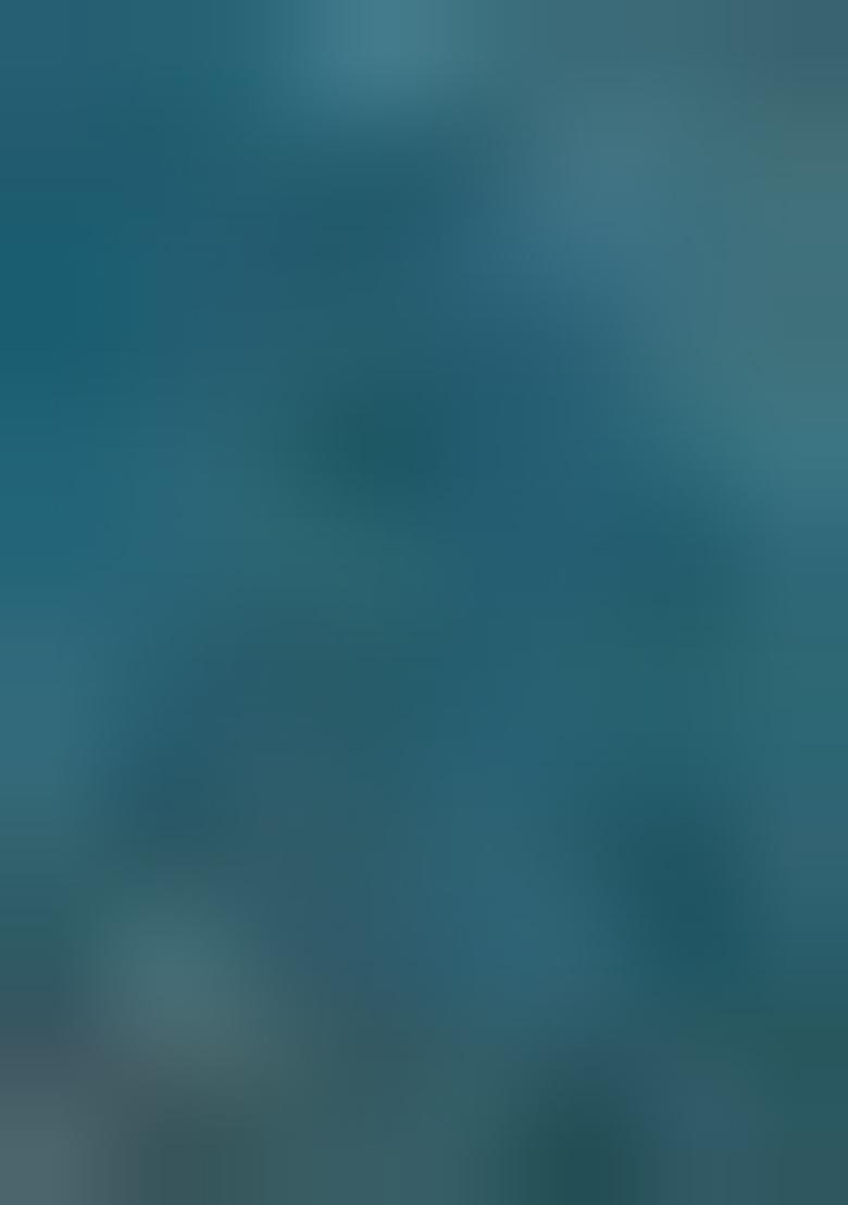 Blue Printed Organza Pre Draped Saree Set