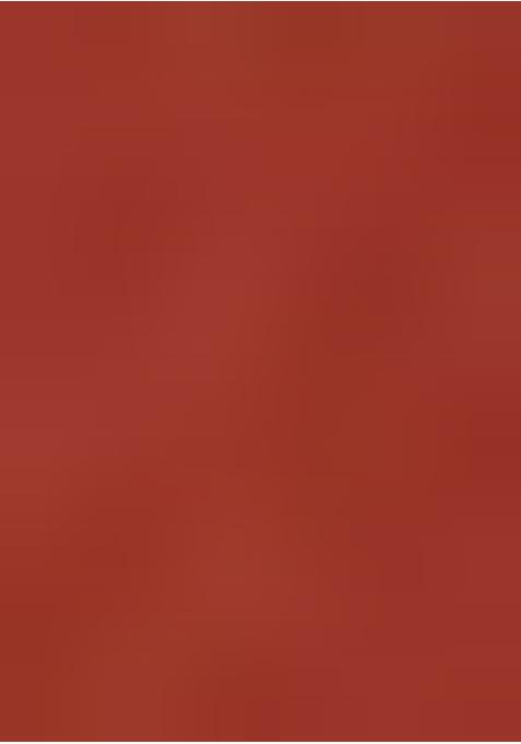 Rust Sequin Embroidered Blouse Organza Pre Draped Saree Set