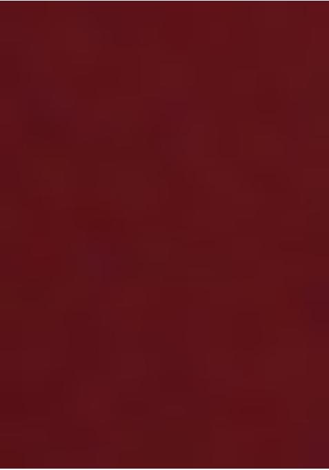 Maroon Sequin Blouse Georgette Pre Draped Saree Set