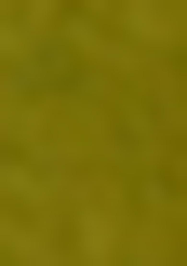 Green Brocade Pre Draped Saree Set