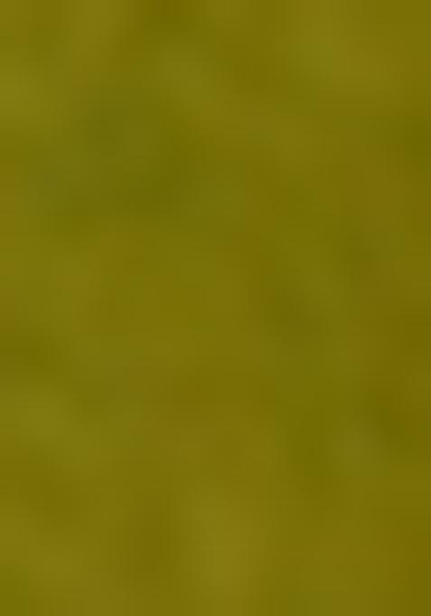 Green Brocade Pre Draped Saree Set