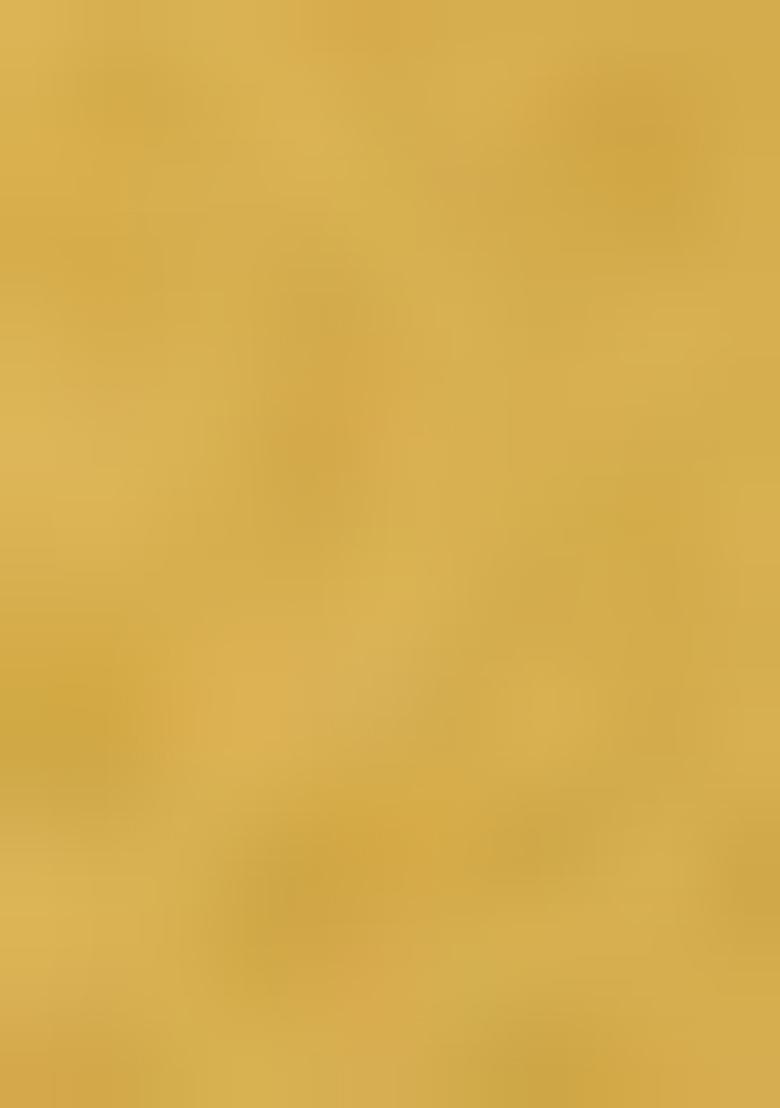 Yellow Brocade Pre Draped Saree Set