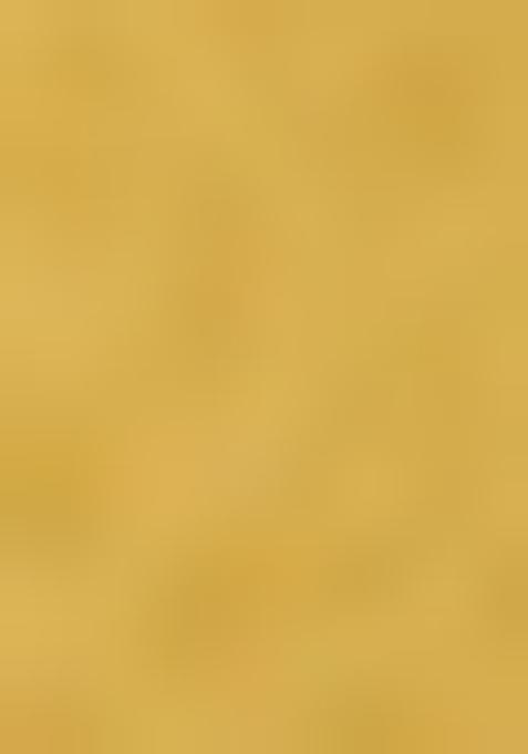 Yellow Brocade Pre Draped Saree Set