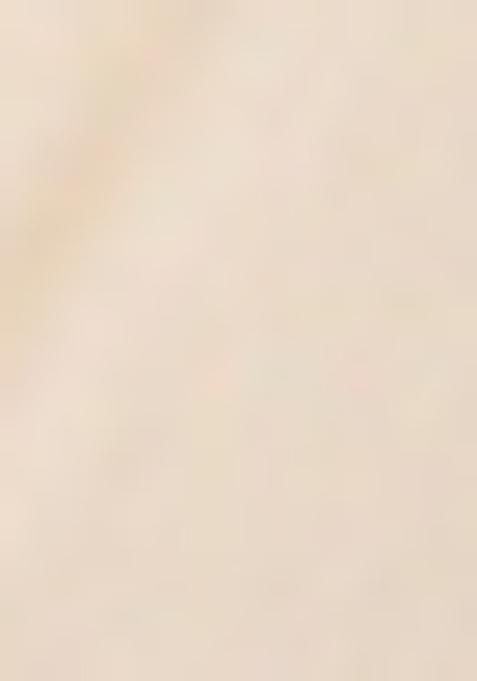 White Printed Georgette Pre Draped Saree Set