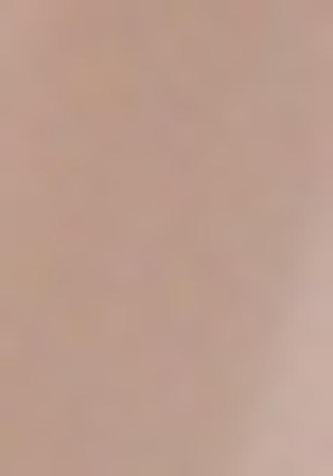 Pink Printed Georgette Pre Draped Saree Set