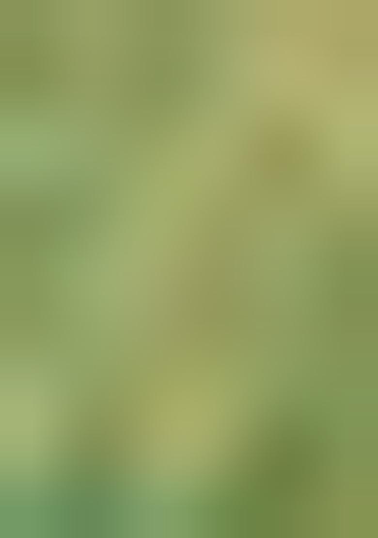 Mint Green Brocade Pre Draped Saree Set