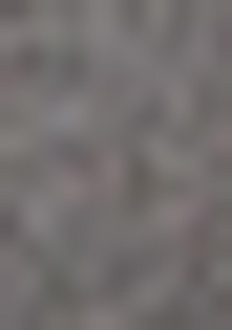 Grey Sequin Georgette Pre Draped Saree Set