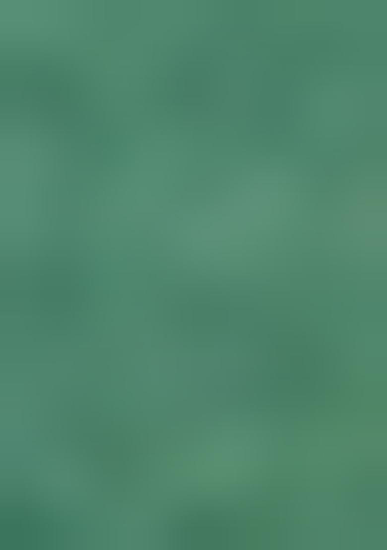 Green Zari Sequin Crepe Pre Draped Saree Set