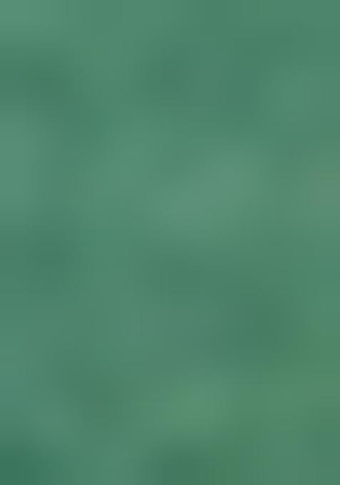 Green Zari Sequin Crepe Pre Draped Saree Set