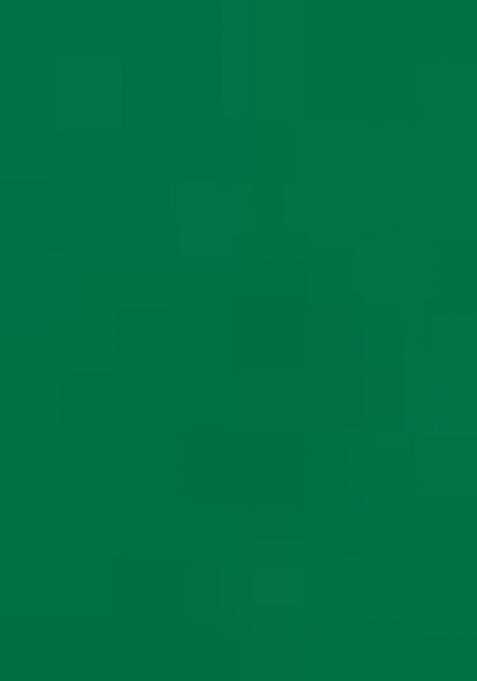 Green Embroidered Blouse Chiffon Pre Draped Saree Set