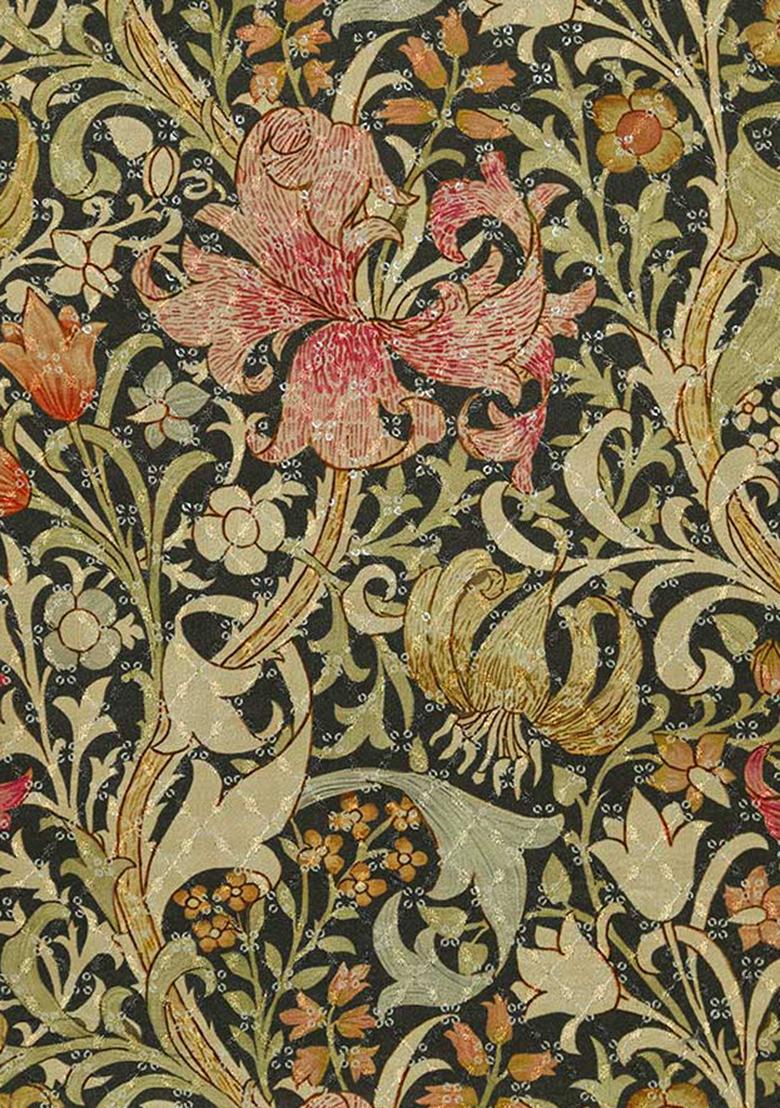 Black Embroidered Blouse Chiffon Pre Draped Saree Set - Indya