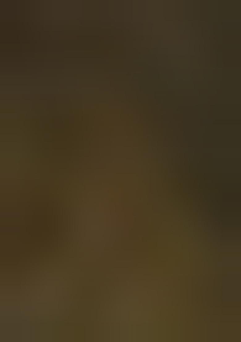 Multicolor Printed Chiffon Pre Draped Saree Set