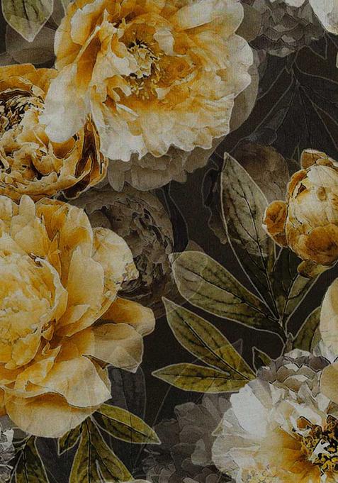 Multicolor Printed Chiffon Pre Draped Saree Set