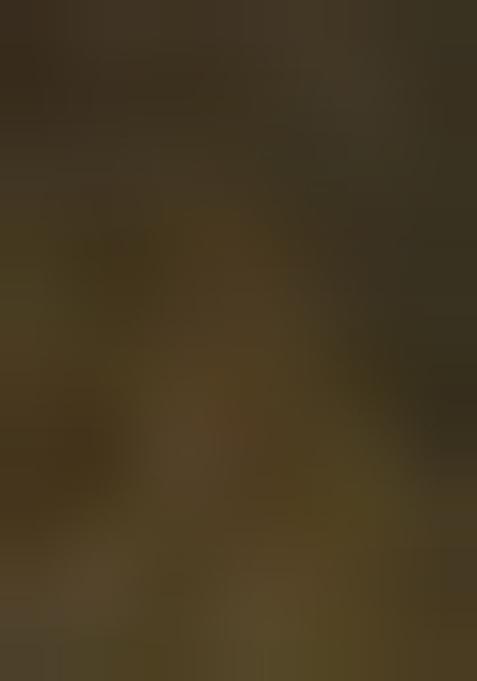 Multicolor Printed Chiffon Pre Draped Saree Set