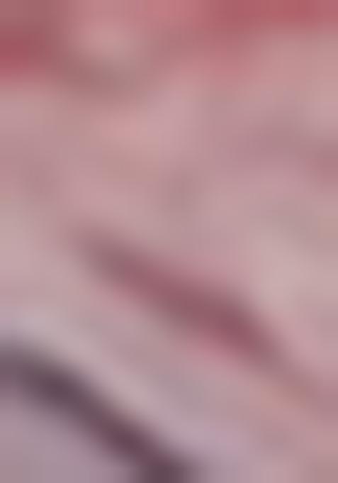 Multicolor Printed Crepe Pre Draped Saree Set