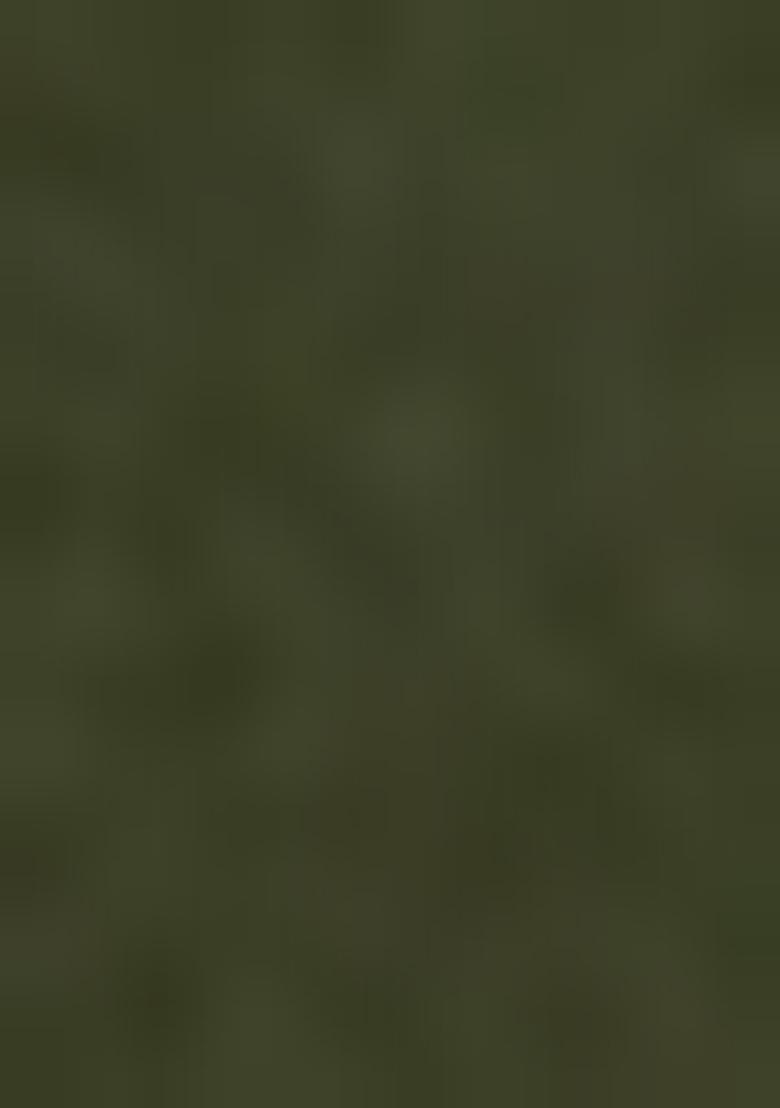 Sage Green Embellished Blouse Georgette Pre Draped Saree Set