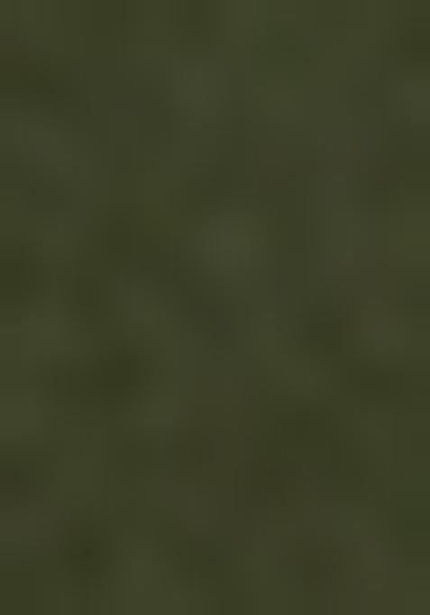 Sage Green Embellished Blouse Georgette Pre Draped Saree Set