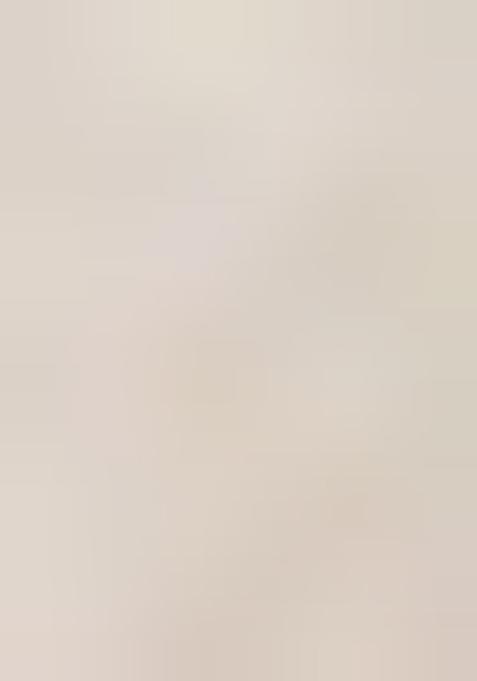 Beige Printed Georgette Lehenga Set