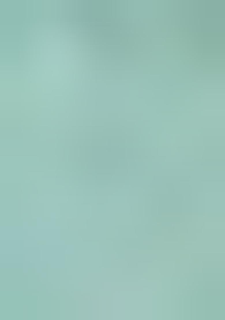 Light Green Printed Georgette Lehenga Set