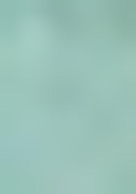 Light Green Printed Georgette Lehenga Set