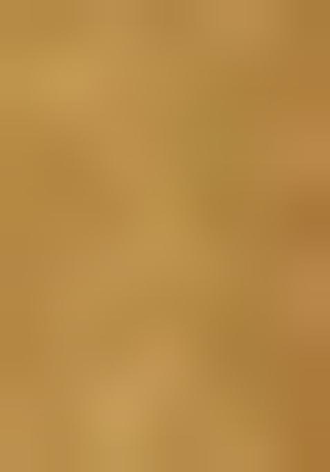 Beige Printed Tussar Pre Draped Saree Set