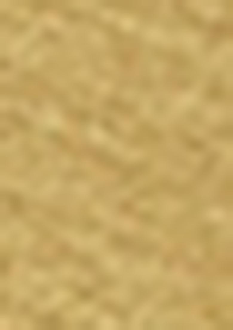 Gold Embellished Lurex Pre Draped Saree Set