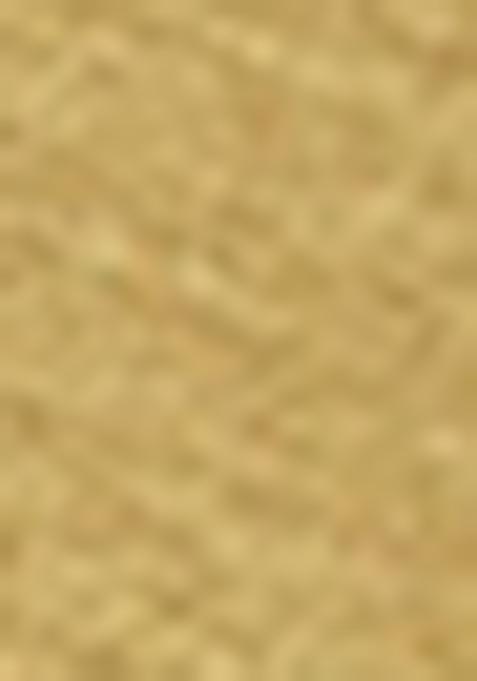 Gold Embellished Lurex Pre Draped Saree Set