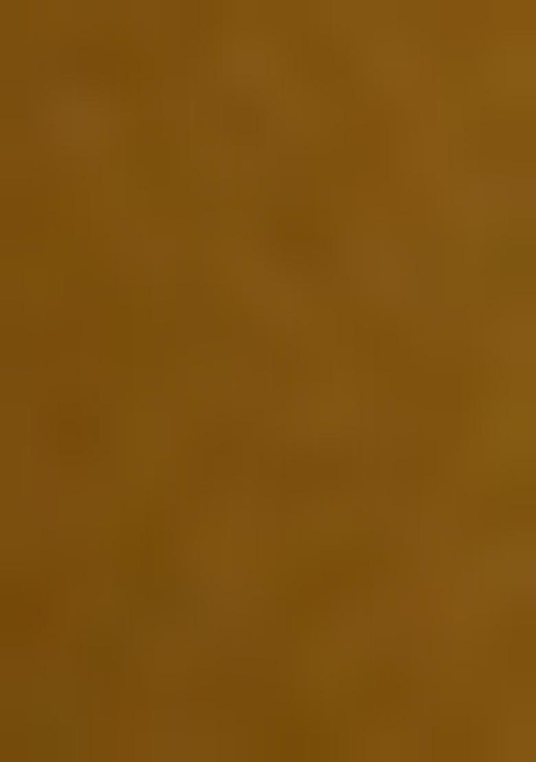 Golden Embellished Blouse Georgette Pre Draped Saree Set