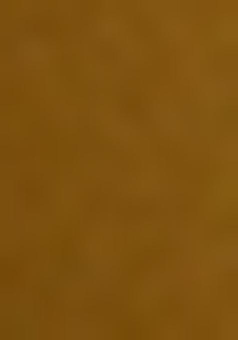 Golden Embellished Blouse Georgette Pre Draped Saree Set