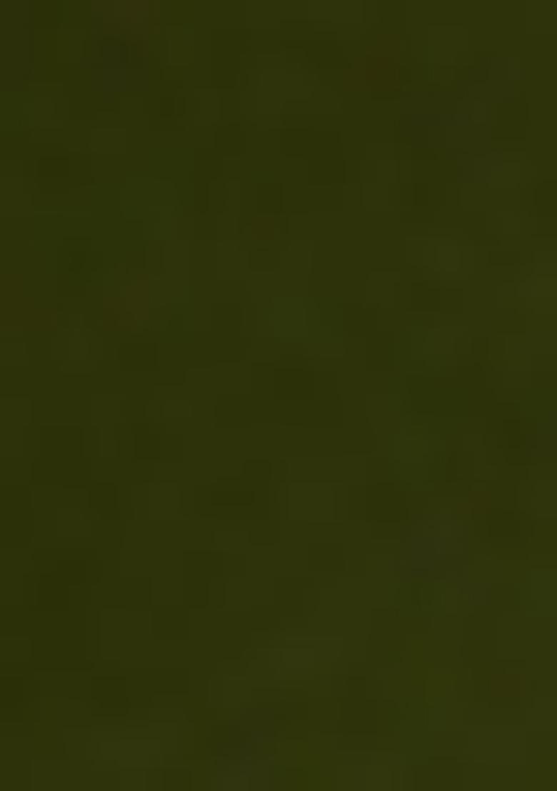 Green Embellished Blouse Georgette Pre Draped Saree Set