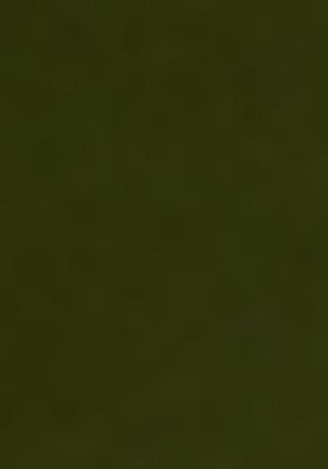 Green Embellished Blouse Georgette Pre Draped Saree Set