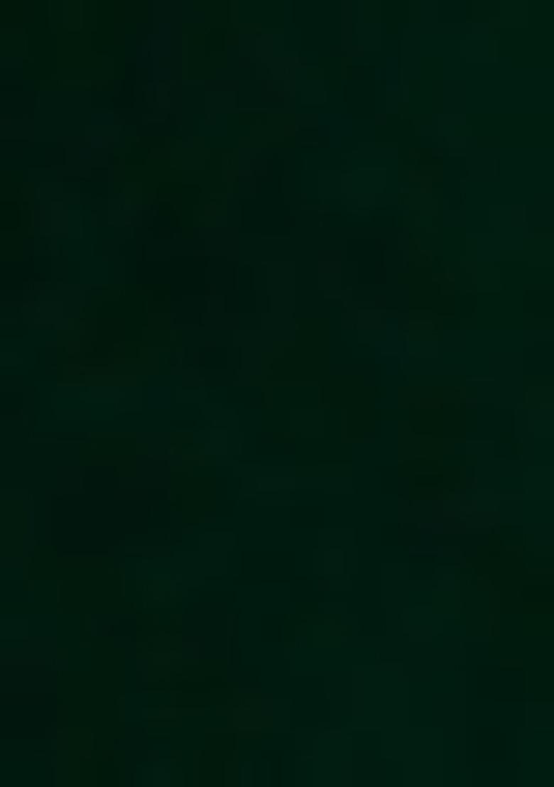 Green Sequin Blouse Georgette Pre Draped Saree Set