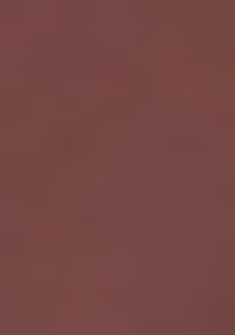 Light Brown Embroidered Blouse Georgette Pre Draped Saree Set