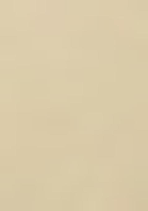 Beige Embroidered Blouse Georgette Pre Draped Saree Set