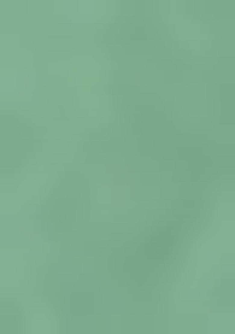 Sea Green Embroidered Blouse Georgette Pre Draped Saree Set