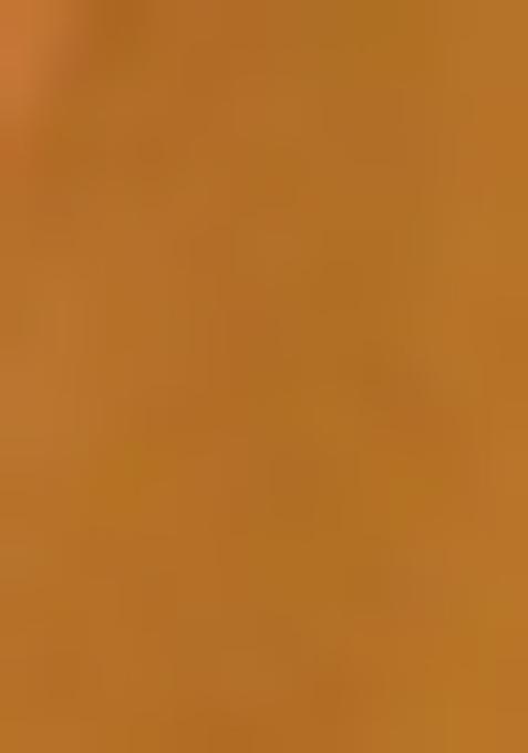 Multicolor Printed Crepe Pre Draped Saree Set